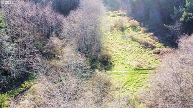 Two prime parcels of land totaling 33.58 acres, offering a - photo 17