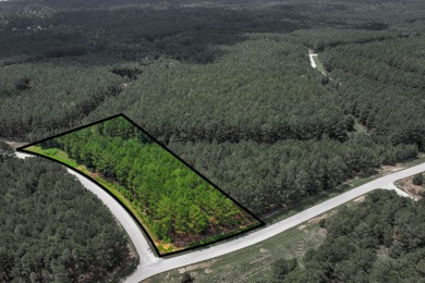 Lake Lot For Sale in Tignall, Georgia