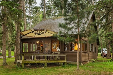 Lake Home For Sale in Park Rapids, Minnesota