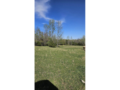 (private lake, pond, creek) Acreage For Sale in Rector Arkansas