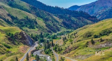 (private lake, pond, creek) Lot For Sale in Pollock Idaho