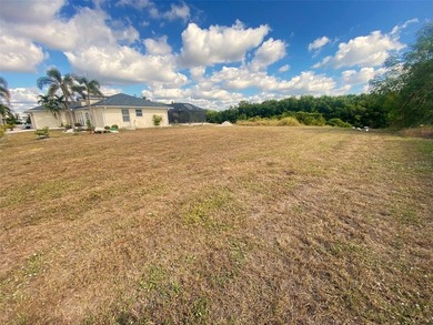 Saltwater Canal Front lot is located in Port Charlotte close to - photo 3