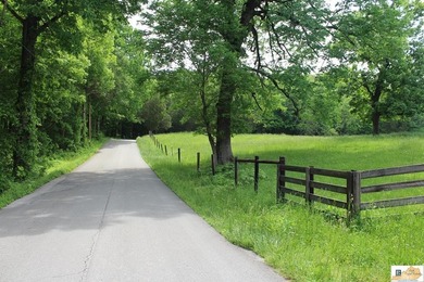 Barren River Lake Home For Sale in Glasgow Kentucky