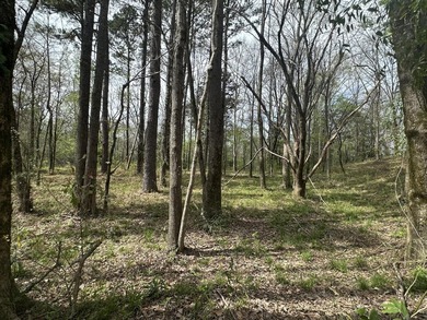 Additional listing photo 1