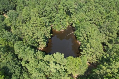 Lake Acreage For Sale in Garrison, Texas