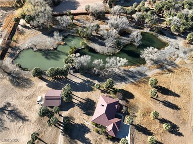 (private lake, pond, creek) Home For Sale in Moapa Nevada