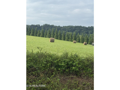 Spacious 1.18 Acre flat lot located on a quiet cul-de-sac - photo 2