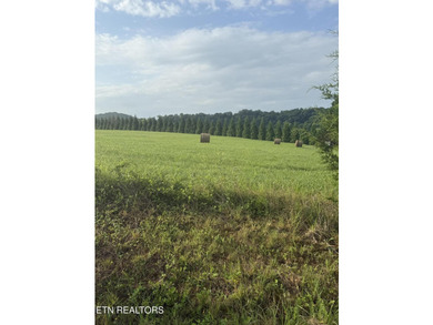 Spacious 1.18 Acre flat lot located on a quiet cul-de-sac - photo 3