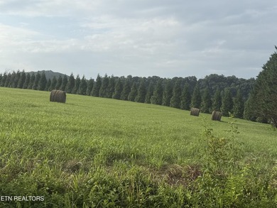 Spacious 1.18 Acre flat lot located on a quiet cul-de-sac - photo 4