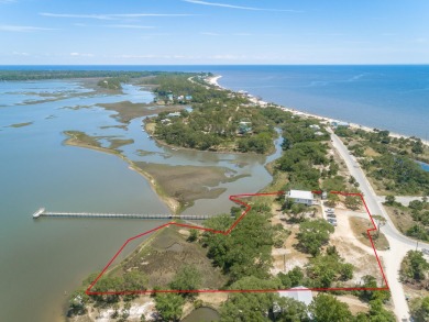Gulf of Mexico - St. Petersburg Commercial For Sale in Alligator Point Florida
