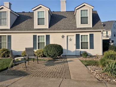 Lake Condo For Sale in Port Clinton, Ohio