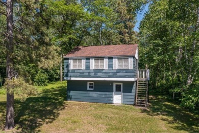 Lake Home For Sale in Jenkins Twp, Minnesota