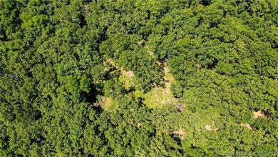 46.53 surveyed acres in the Gravois Mills / Versailles area - photo 11