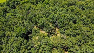 46.53 surveyed acres in the Gravois Mills / Versailles area - photo 12