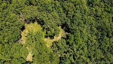 46.53 surveyed acres in the Gravois Mills / Versailles area - photo 13