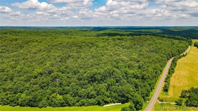 46.53 surveyed acres in the Gravois Mills / Versailles area - photo 14