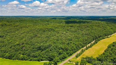 46.53 surveyed acres in the Gravois Mills / Versailles area - photo 15