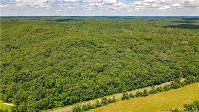 46.53 surveyed acres in the Gravois Mills / Versailles area - photo 16