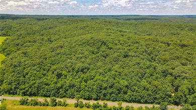 46.53 surveyed acres in the Gravois Mills / Versailles area - photo 17