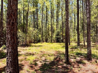 Discover the beauty of NatureWalk at Pond Creek, one of the most - photo 17