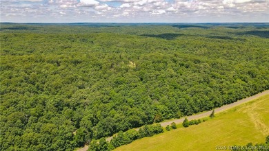 46.53 surveyed acres in the Gravois Mills / Versailles area - photo 18