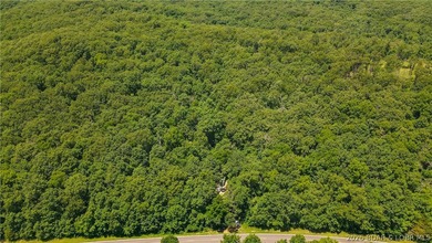 46.53 surveyed acres in the Gravois Mills / Versailles area - photo 19