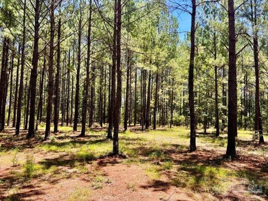 Discover the beauty of NatureWalk at Pond Creek, one of the most - photo 20