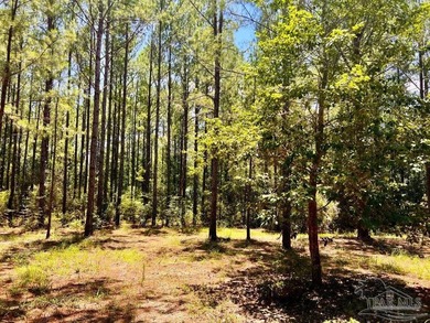 Discover the beauty of NatureWalk at Pond Creek, one of the most - photo 21