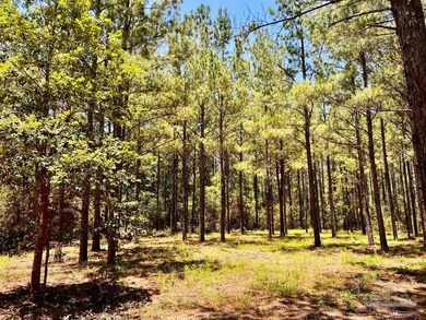 Discover the beauty of NatureWalk at Pond Creek, one of the most - photo 22