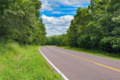 46.53 surveyed acres in the Gravois Mills / Versailles area - photo 24