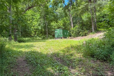 46.53 surveyed acres in the Gravois Mills / Versailles area - photo 25