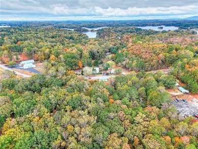 Rare opportunity on 6.6 acres zoned LR Lake Residential - photo 25