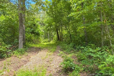 46.53 surveyed acres in the Gravois Mills / Versailles area - photo 26