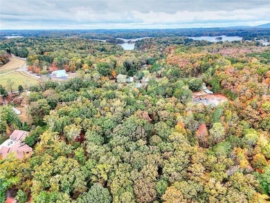 Rare opportunity on 6.6 acres zoned LR Lake Residential - photo 26