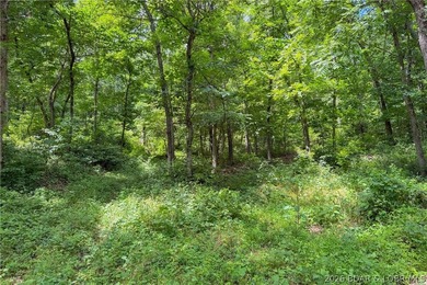 46.53 surveyed acres in the Gravois Mills / Versailles area - photo 27