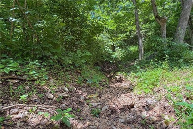 46.53 surveyed acres in the Gravois Mills / Versailles area - photo 37