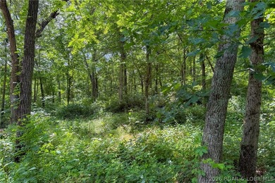 46.53 surveyed acres in the Gravois Mills / Versailles area - photo 38