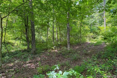 46.53 surveyed acres in the Gravois Mills / Versailles area - photo 39