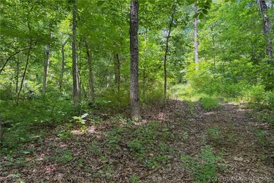 46.53 surveyed acres in the Gravois Mills / Versailles area - photo 40