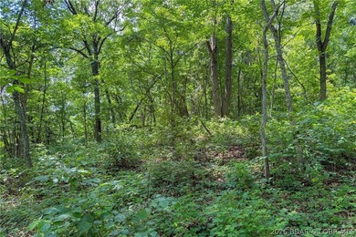 46.53 surveyed acres in the Gravois Mills / Versailles area - photo 41