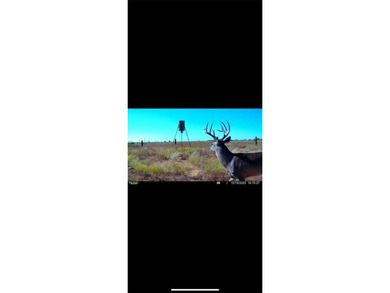 Lake Kemp Acreage For Sale in Seymour Texas