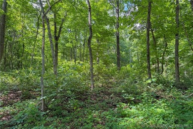 46.53 surveyed acres in the Gravois Mills / Versailles area - photo 42