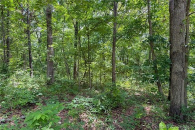 46.53 surveyed acres in the Gravois Mills / Versailles area - photo 43