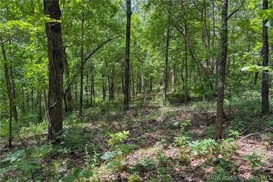 46.53 surveyed acres in the Gravois Mills / Versailles area - photo 44