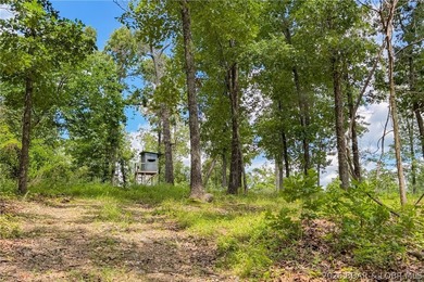 46.53 surveyed acres in the Gravois Mills / Versailles area - photo 45