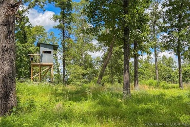 46.53 surveyed acres in the Gravois Mills / Versailles area - photo 46