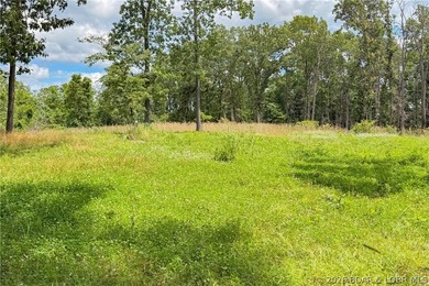 46.53 surveyed acres in the Gravois Mills / Versailles area - photo 47