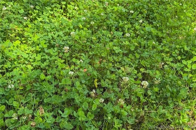 46.53 surveyed acres in the Gravois Mills / Versailles area - photo 48