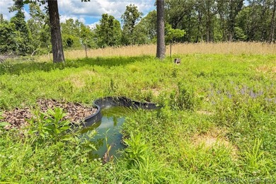 46.53 surveyed acres in the Gravois Mills / Versailles area - photo 49
