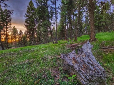 Lake Lot For Sale in Seeley Lake, Montana